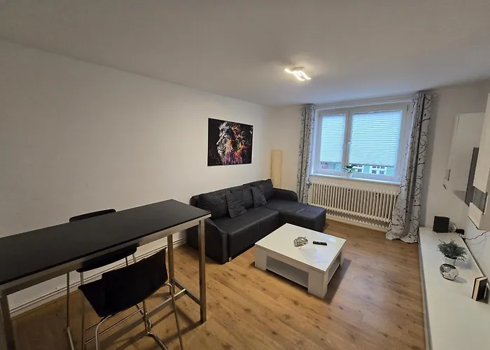 Grosse Moderne Ferienwohnung, Zentrale Ruhige Lage
