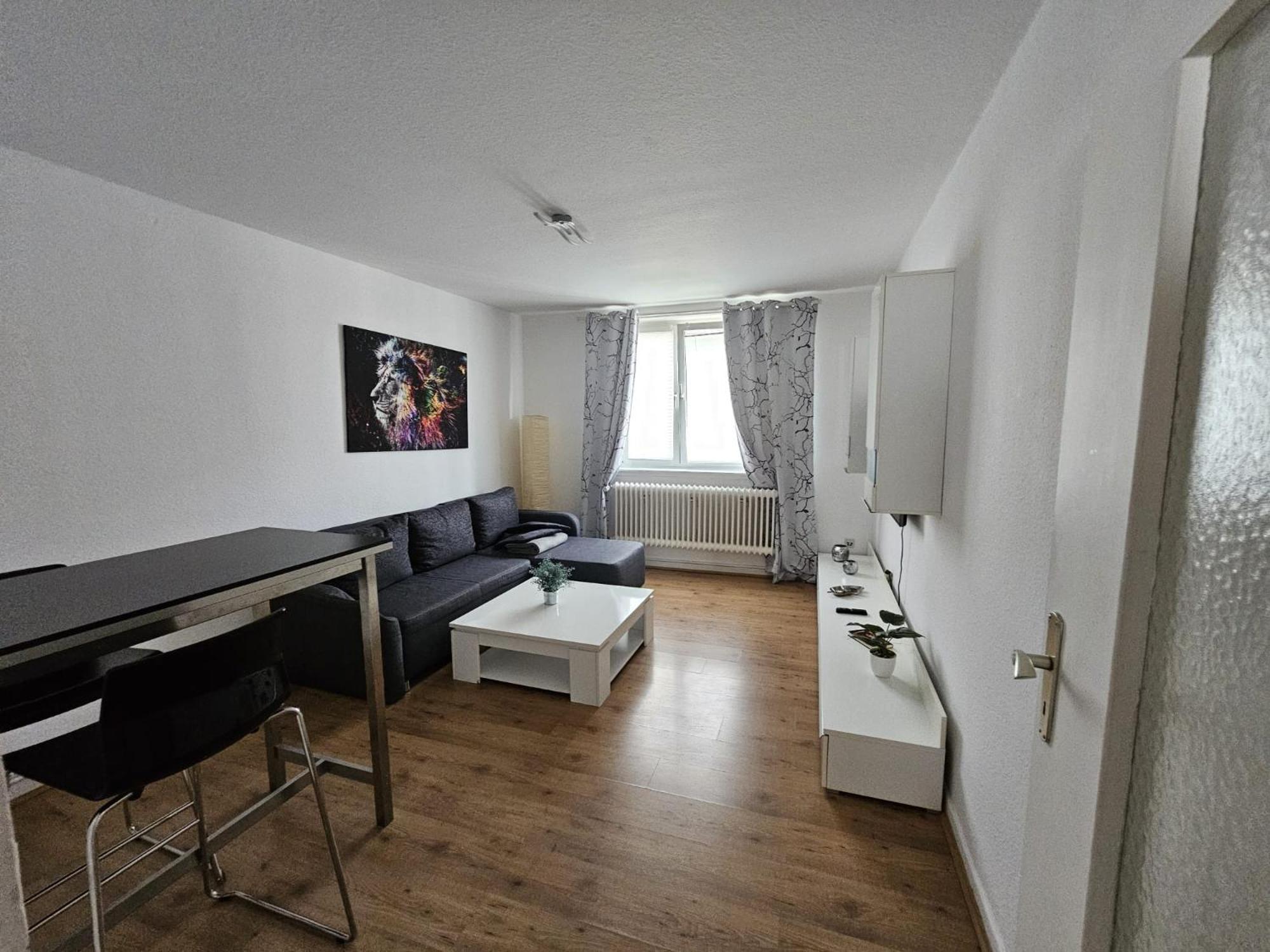 Apartment Grosse Moderne Ferienwohnung, Zentrale Ruhige Lage *
