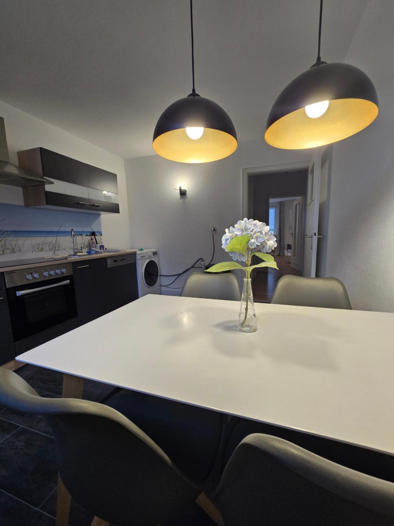 Apartment Grosse Moderne Ferienwohnung, Zentrale Ruhige Lage *