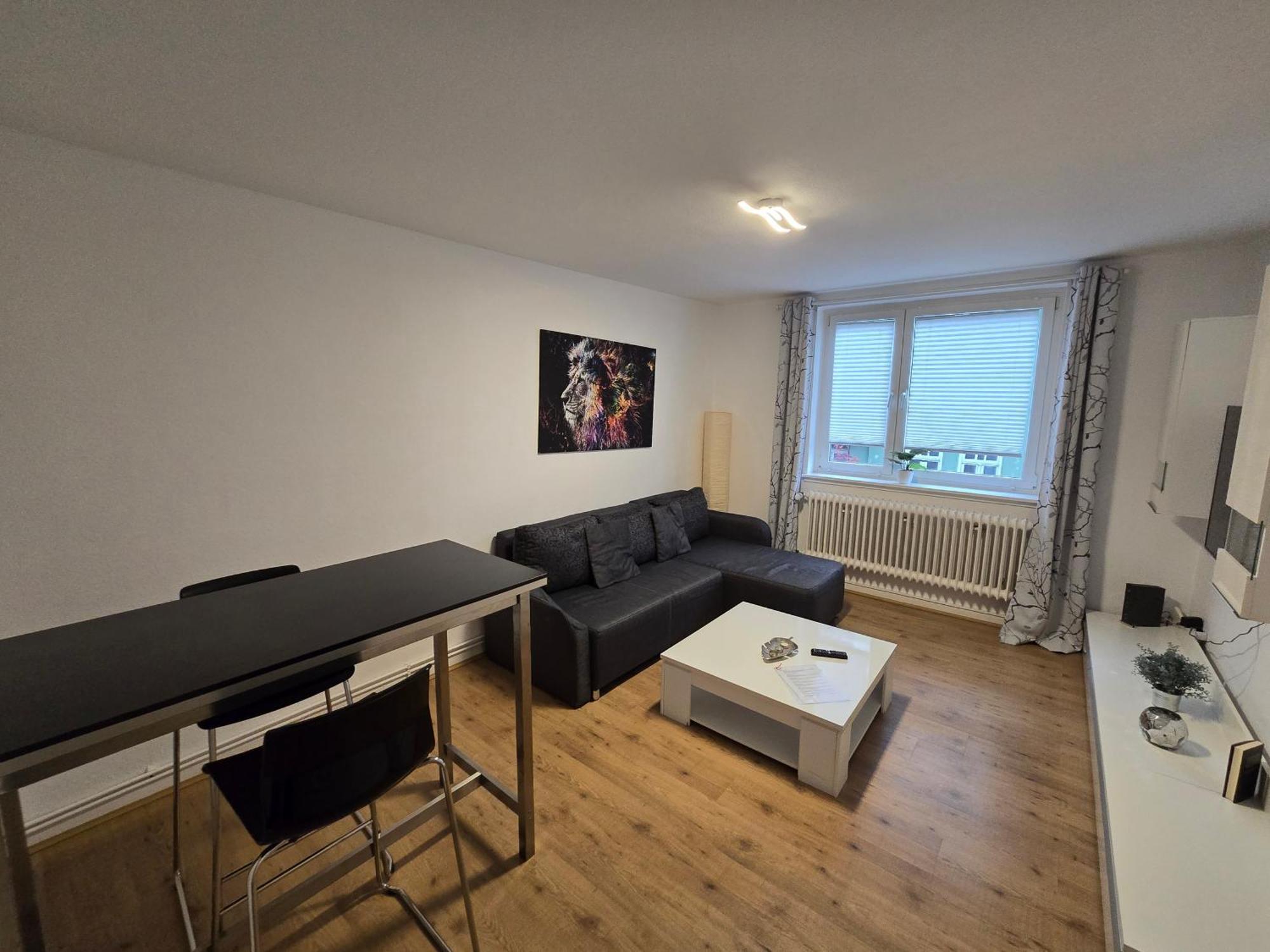 Apartment Grosse Moderne Ferienwohnung, Zentrale Ruhige Lage *
