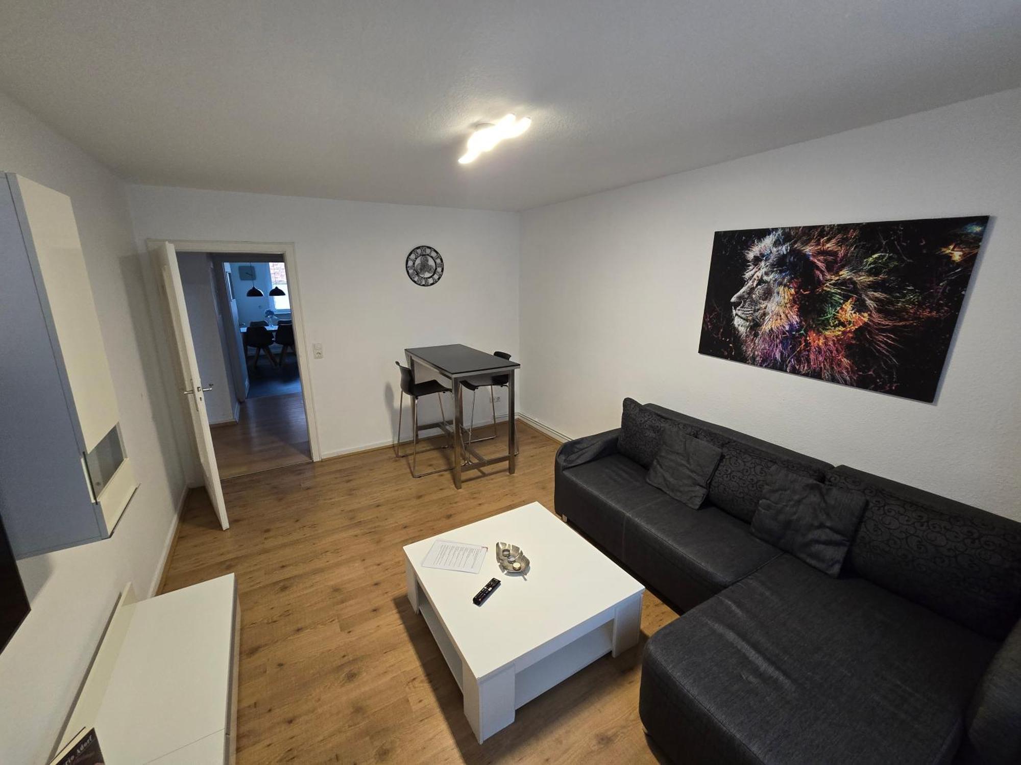 Apartment Grosse Moderne Ferienwohnung, Zentrale Ruhige Lage Kassel