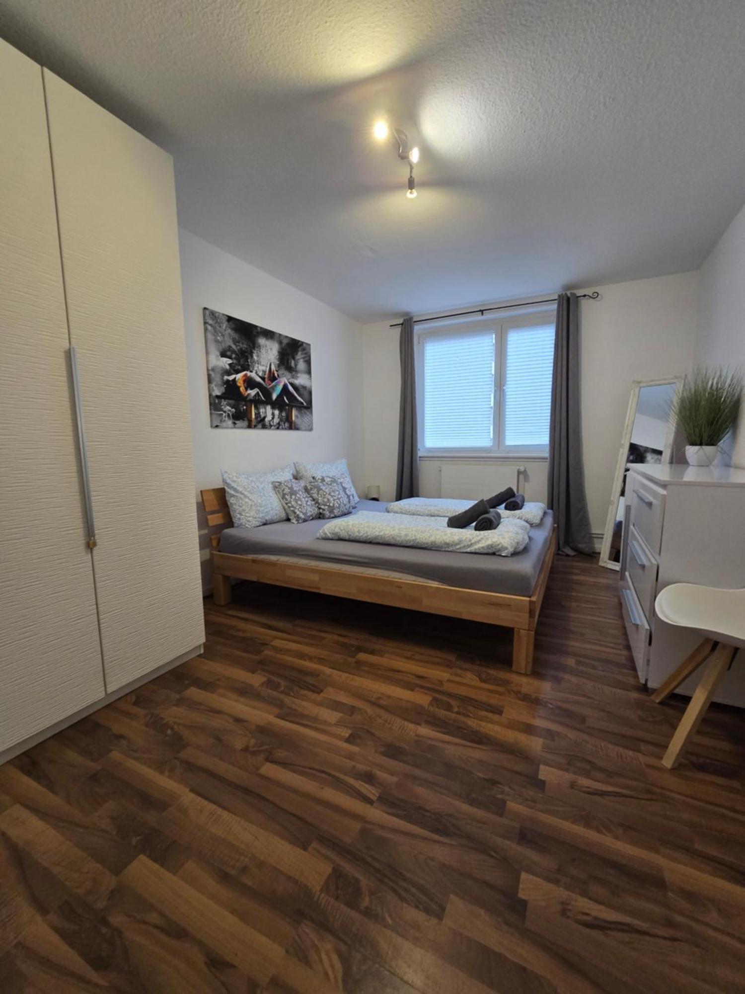 Apartment Grosse Moderne Ferienwohnung, Zentrale Ruhige Lage